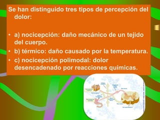 Se han distinguido tres tipos de percepción del
  dolor:

• a) nocicepción: daño mecánico de un tejido
  del cuerpo.
• b) térmico: daño causado por la temperatura.
• c) nocicepción polimodal: dolor
  desencadenado por reacciones químicas.
 