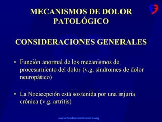 www.fundacionfavaloro.org
MECANISMOS DE DOLOR
PATOLÓGICO
CONSIDERACIONES GENERALES
• Función anormal de los mecanismos de
procesamiento del dolor (v.g. síndromes de dolor
neuropático)
• La Nocicepción está sostenida por una injuria
crónica (v.g. artritis)
 