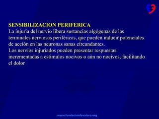 www.fundacionfavaloro.org
SENSIBILIZACION PERIFERICA
La injuria del nervio libera sustancias algógenas de las
terminales nerviosas periféricas, que pueden inducir potenciales
de acción en las neuronas sanas circundantes.
Los nervios injuriados pueden presentar respuestas
incrementadas a estimulos nocivos o aùn no nocivos, facilitando
el dolor
 