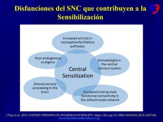 www.fundacionfavaloro.org
Disfunciones del SNC que contribuyen a la
Sensibilización
J Nijs et al. 2019. EXPERT OPINION ON PHARMACOTHERAPY. https://doi.org/10.1080/14656566.2019.1647166
 