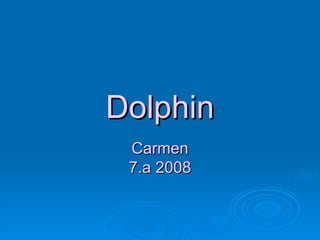 Dolphin Carmen 7.a 2008 