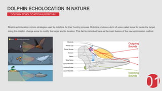 Dolphin Echolocation Optimization Algorithm | PPTX
