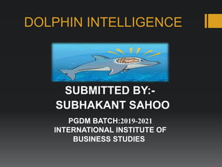 DOLPHIN INTELLIGENCE
PGDM BATCH:2019-2021
INTERNATIONAL INSTITUTE OF
BUSINESS STUDIES
SUBMITTED BY:-
SUBHAKANT SAHOO
 