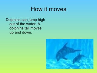 How it moves Dolphins can jump high out of the water. A dolphins tail moves up and down.