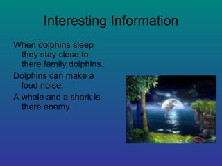 Interesting Information When dolphins sleep they stay close to there family dolphins. Dolphins can make a loud noise. A whale and a shark is there enemy.
