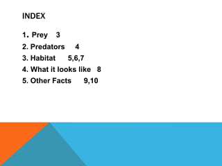 INDEX

1. Prey      3
2. Predators       4
3. Habitat       5,6,7
4. What it looks like 8
5. Other Facts         9,10
 