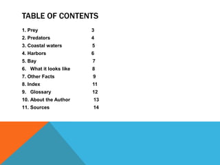 TABLE OF CONTENTS
1. Prey                 3
2. Predators            4
3. Coastal waters       5
4. Harbors              6
5. Bay                  7
6. What it looks like   8
7. Other Facts          9
8. Index                11
9. Glossary             12
10. About the Author    13
11. Sources             14
 