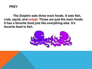 PREY

       The Dolphin eats three main foods. It eats fish,
crab, squid, and octopi. Those are just the main foods.
It has a favorite food just like everything else. It’s
favorite food is fish.
 