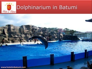 Dolphinarium in Batumi




www.hotelsinbatumi.com
 