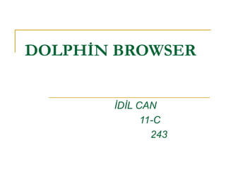 DOLPHİN BROWSER
İDİL CAN
11-C
243

 