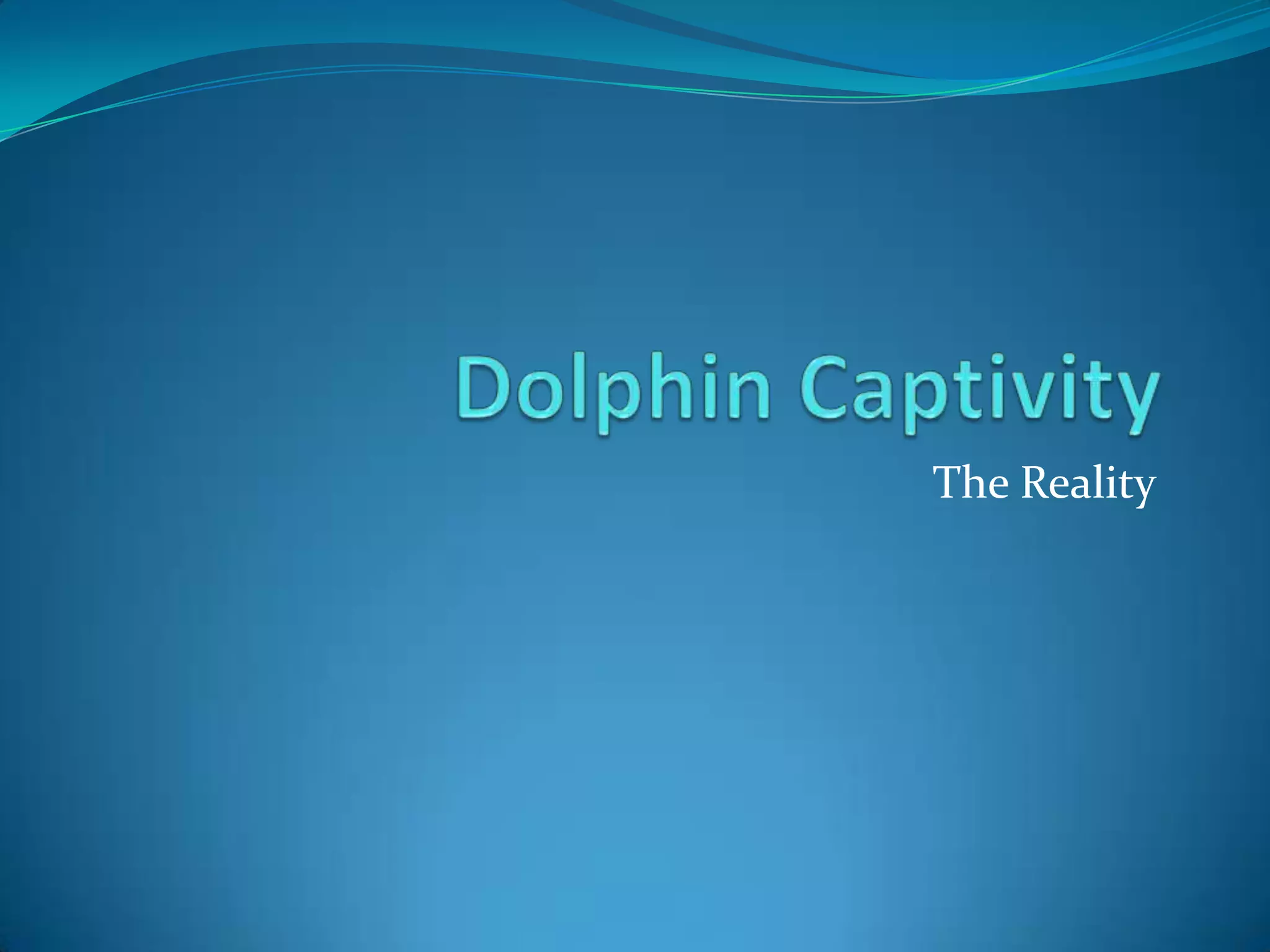 dolphin-captivity-ppt