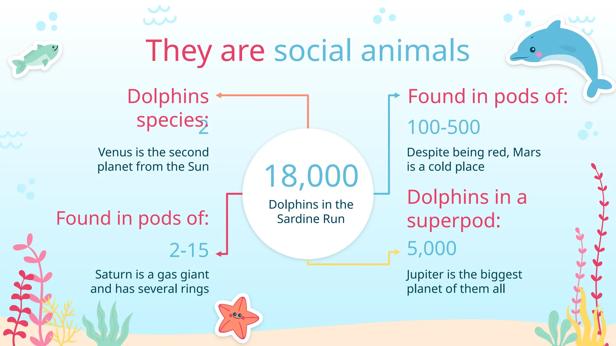 18,000
Dolphins in the
Sardine Run
They are social animals
Venus is the second
planet from the Sun
2
Dolphins
species:
Despite being red, Mars
is a cold place
Saturn is a gas giant
and has several rings
100-500
2-15
Jupiter is the biggest
planet of them all
5,000
Found in pods of:
Found in pods of:
Dolphins in a
superpod:
 