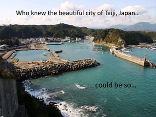 Who knew the beautiful city of Taiji, Japan… could be so… 