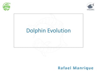 Dolphin Evolution
 