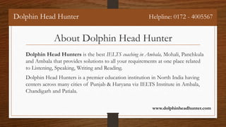 Dolphin head hunter