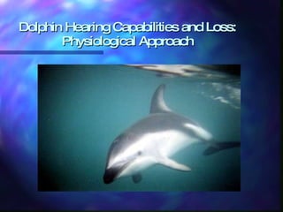 Dolphin Hearing Capabilities and Loss: Physiological Approach 