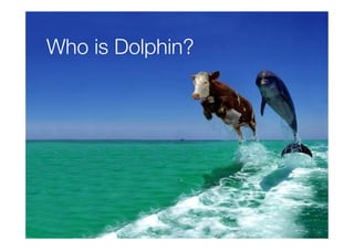 Who is Dolphin?

 