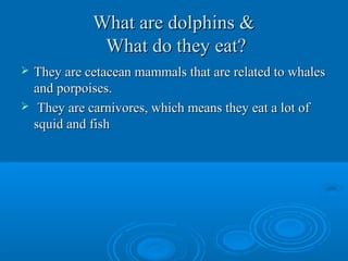 What are dolphins &What are dolphins &
What do they eat?What do they eat?
 They are cetacean mammals that are related to whalesThey are cetacean mammals that are related to whales
and porpoises.and porpoises.
 They are carnivores, which means they eat a lot ofThey are carnivores, which means they eat a lot of
squid and fishsquid and fish
 
