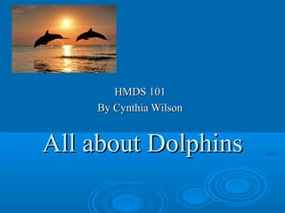 All about DolphinsAll about Dolphins
HMDS 101HMDS 101
By Cynthia WilsonBy Cynthia Wilson
 