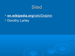 SitedSited
 en.wikipedia.org/wiki/Dolphin
 Dorothy Lartey
 