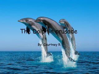 The Dolphin crusade  By: Courtney R. 