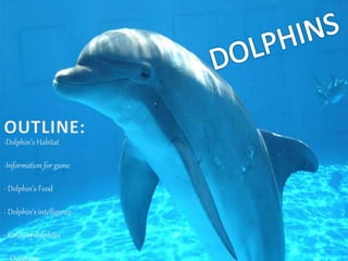 -Dolphin’s Habitat
-Information for game
- Dolphin’s Food
- Dolphin’s intelligence
- Kinds of dolphins
-- Questions
 