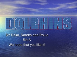 BY Erika, Sandra and Paula
5th A
We hope that you like it!

 