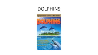 DOLPHINS
 