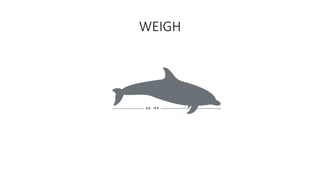 WEIGH
 
