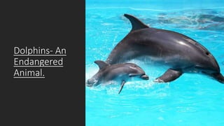 Dolphins- An
Endangered
Animal.
 