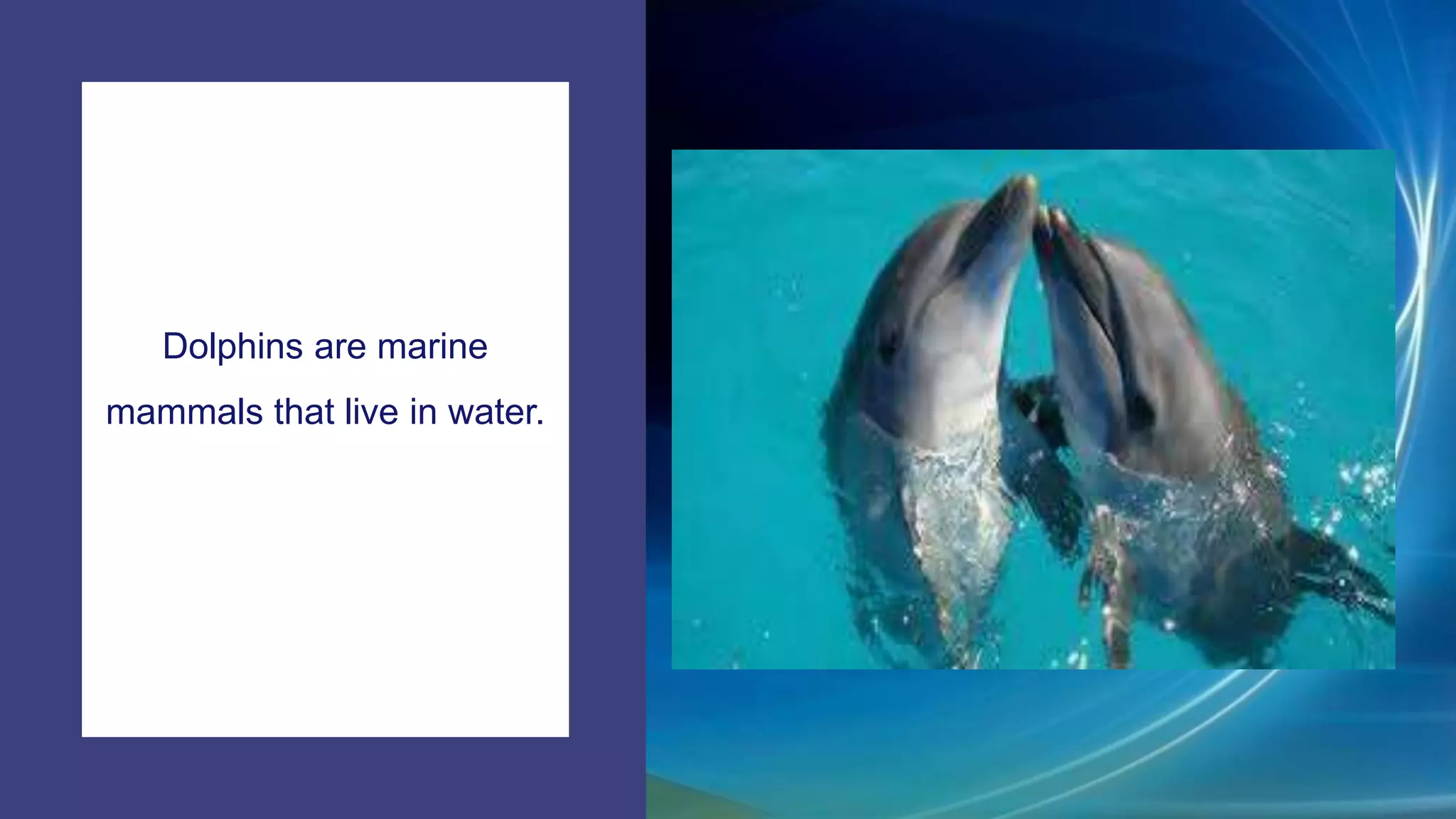 Facts about Dolphins-For Children | PPTX