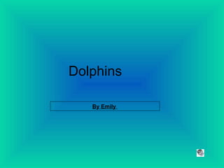 Dolphins By Emily  