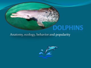 Dolphins  Anatomy, ecology, behavior and popularity				 