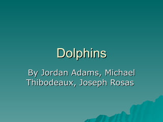 Dolphins By Jordan Adams, Michael Thibodeaux, Joseph Rosas  