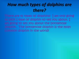 How much types of dolphins are
            there?
There are 41 types of dolphins! I am only going
to pick 1 type of dolphin to tell you about. I
am going to tell you about the bottlenose
dolphin. The bottlenose dolphin is the most
common dolphin in the world!
 