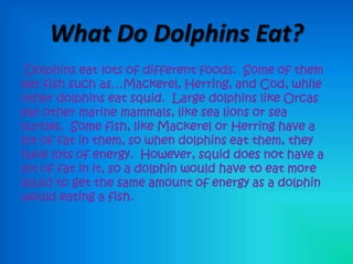 What Do Dolphins Eat?
 Dolphins eat lots of different foods. Some of them
eat fish such as…Mackerel, Herring, and Cod, while
other dolphins eat squid. Large dolphins like Orcas
eat other marine mammals, like sea lions or sea
turtles. Some fish, like Mackerel or Herring have a
lot of fat in them, so when dolphins eat them, they
have lots of energy. However, squid does not have a
lot of fat in it, so a dolphin would have to eat more
squid to get the same amount of energy as a dolphin
would eating a fish.
 