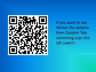 If you want to see
Winter the dolphin
from Dolphin Tale
swimming scan this
QR code!!!
 