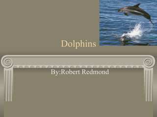 Dolphins By:Robert Redmond 