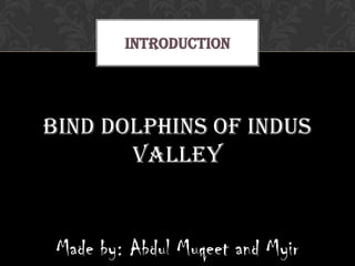 INTRODUCTION




Bind dolphins of indus
       valley


 Made by: Abdul Muqeet and Myir
 