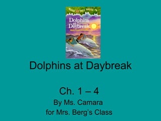 Dolphins at Daybreak Ch. 1 – 4 By Ms. Camara  for Mrs. Berg’s Class 