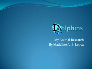 My Animal Research
By Madeline A. E. Lopez
 