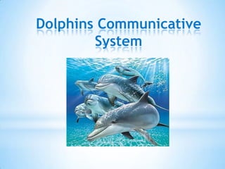 Dolphins Communicative
        System
 