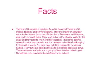 Facts
• There are 36 species of dolphins found in the world.There are 32
marine dolphins, and 4 river dolphins. They live mainly in saltwater
such as the oceans but some of them live in freshwater and they are
able to do very well there. They tend to live in the shallow water by the
coast and they tend to live in warmer locations. The name dolphin
comes from the word womb, and it is believed to be the Greek saying
for fish with a womb You may hear dolphins referred to by various
names. The young are called calves and the female adults are cows.
The male adults are bulls and a group of them is often called a pod.
Sometimes, you may hear them referred to as school.
 