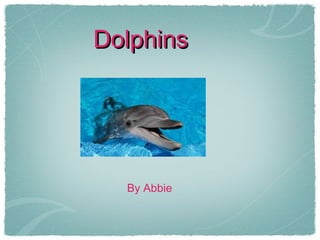 DolphinsDolphins
By Abbie
 