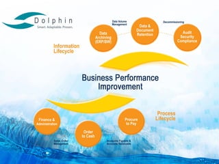 Dolphin SAP Experts