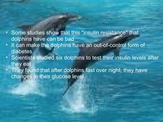   Some studies show that this "insulin resistance" that dolphins have can be bad It can make the dolphins have an out-of-control form of diabetes Scientists studied six dolphins to test their insulin levels after they eat They found that after dolphins fast over night, they have changes in their glucose level  