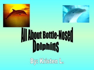 All About Bottle-Nosed Dolphins By: Kristen L. 