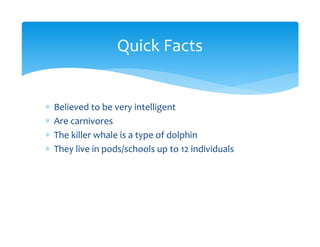 ∗ Believed to be very intelligent
∗ Are carnivores
∗ The killer whale is a type of dolphin
∗ They live in pods/schools up to 12 individuals
Quick Facts
 