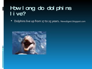 How long do dolphins live? <ul><li>Dolphins live up from 17 to 25 years .  Newsdigest.blogspot.com </li></ul>