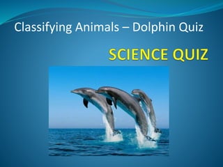 Classifying Animals – Dolphin Quiz
 